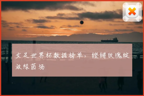 女足世界杯数据榜单，铿锵玫瑰绽放绿茵场